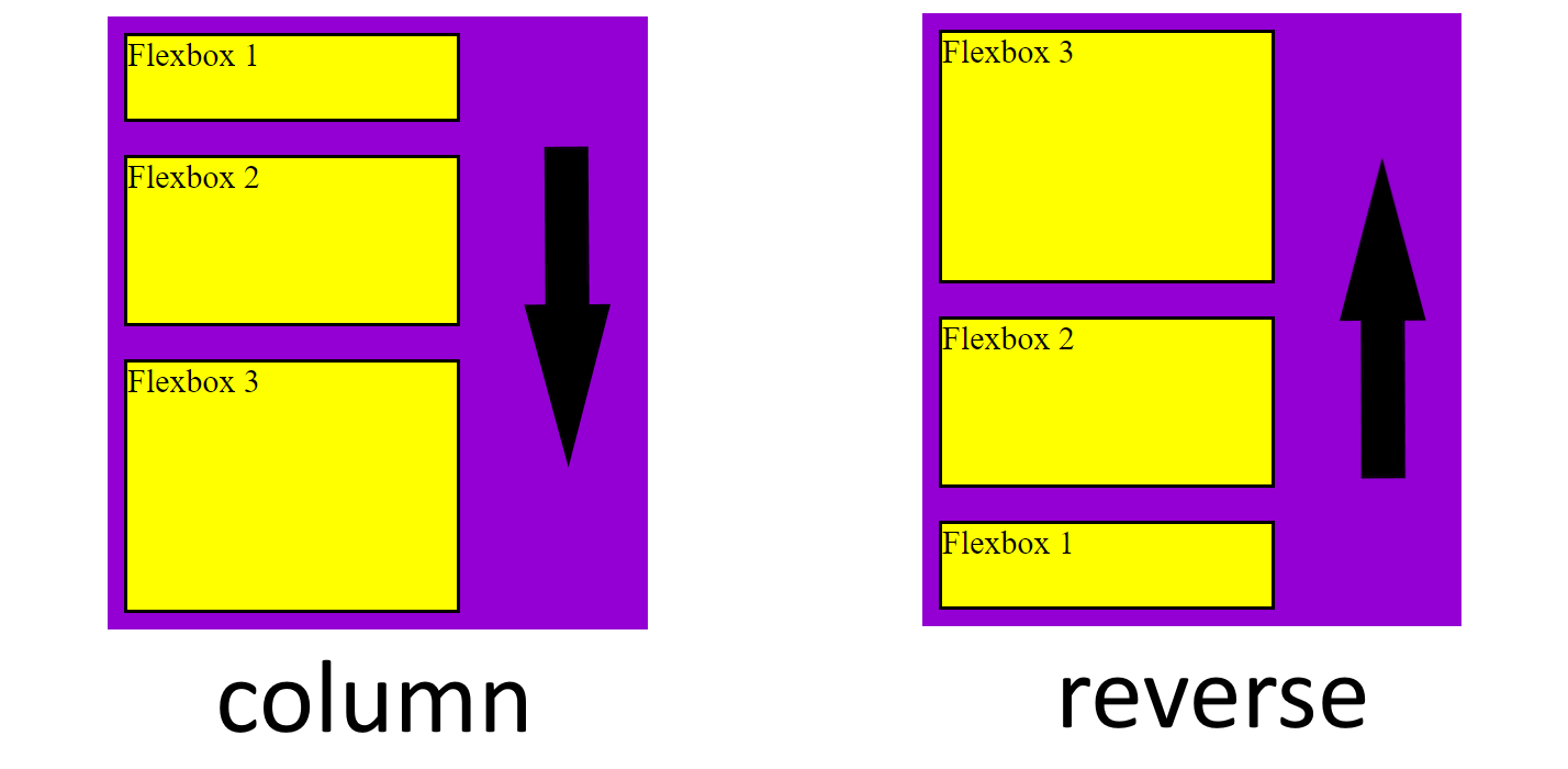 The direction of the columns based on flex-direction property